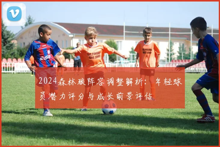 2024森林狼阵容调整解析:年轻球员潜力评分与成长前景评估