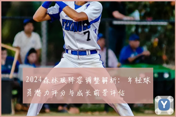2024森林狼阵容调整解析：年轻球员潜力评分与成长前景评估